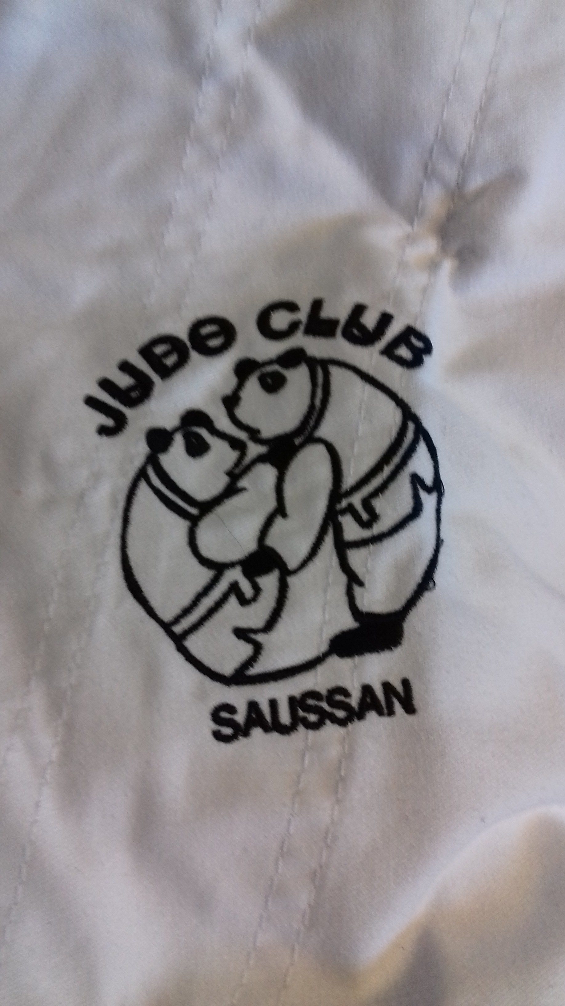 logo judo Saussan