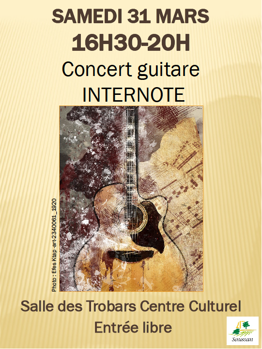 Concert_guitare